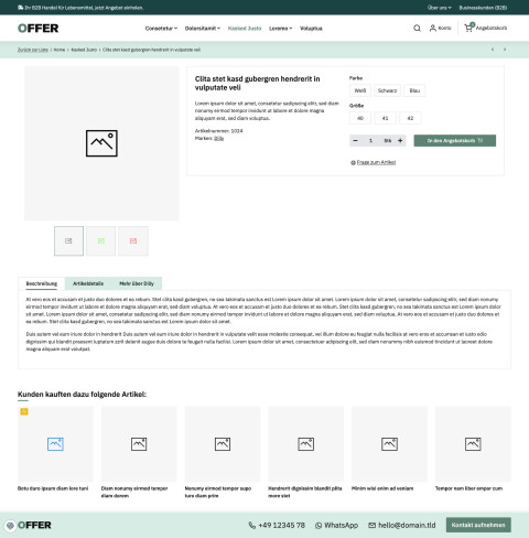 Offer Theme